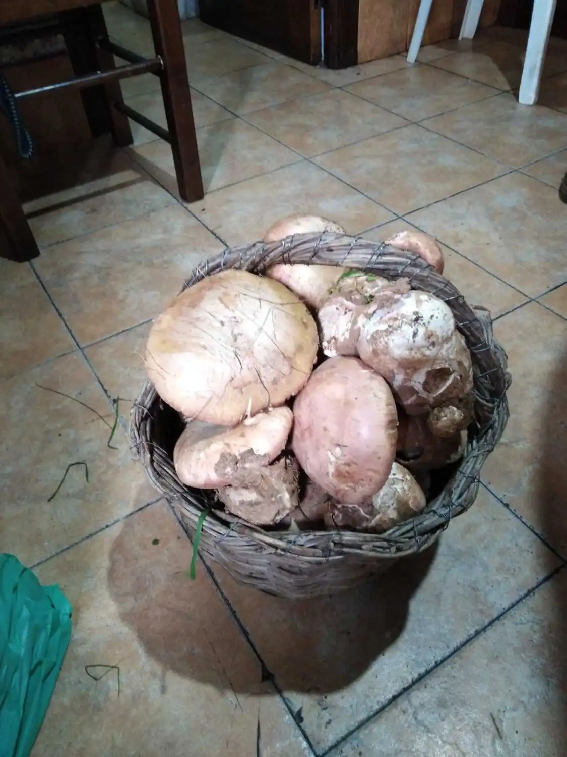 el emigrante catering